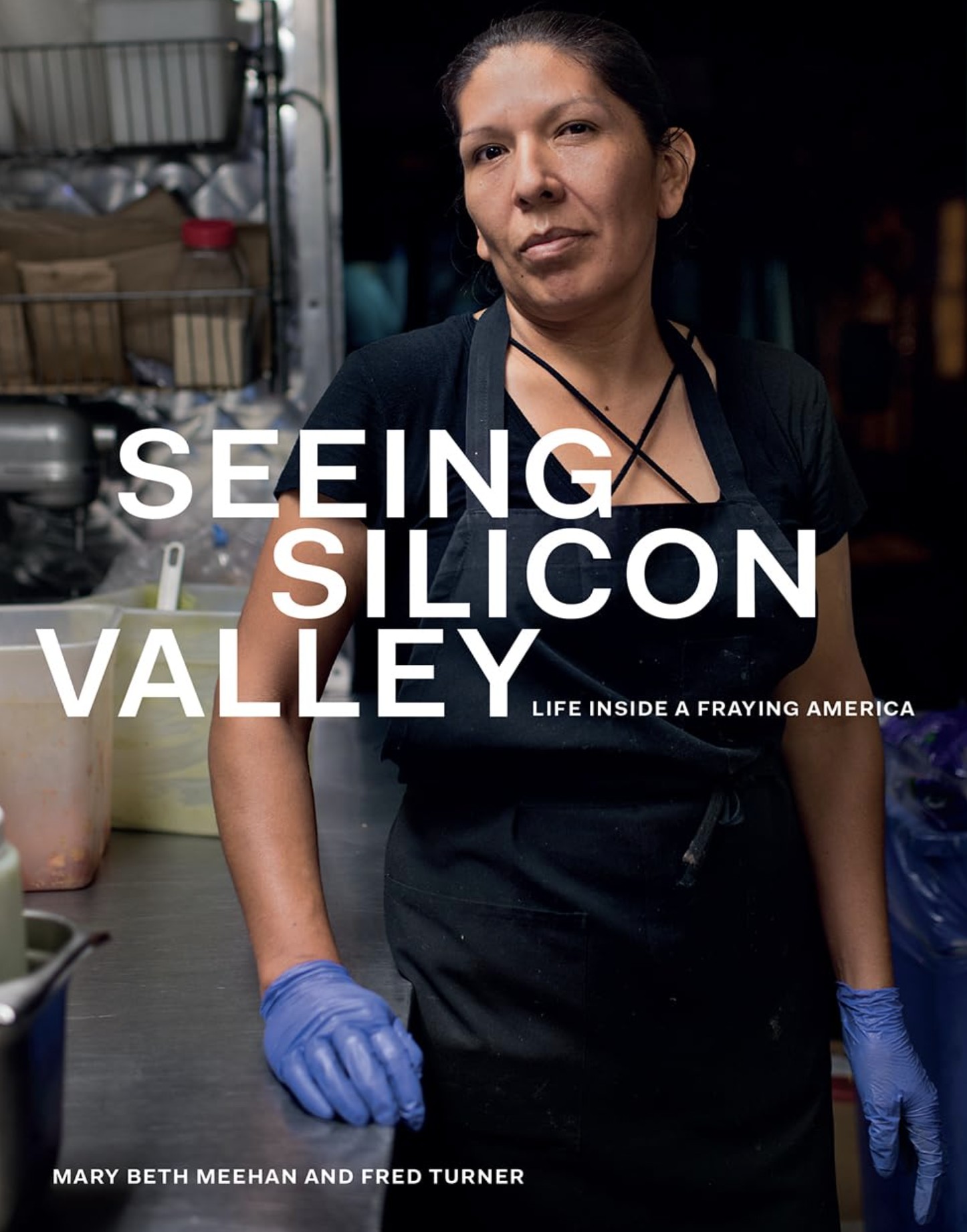 Seeing Silicon Valley — book cover