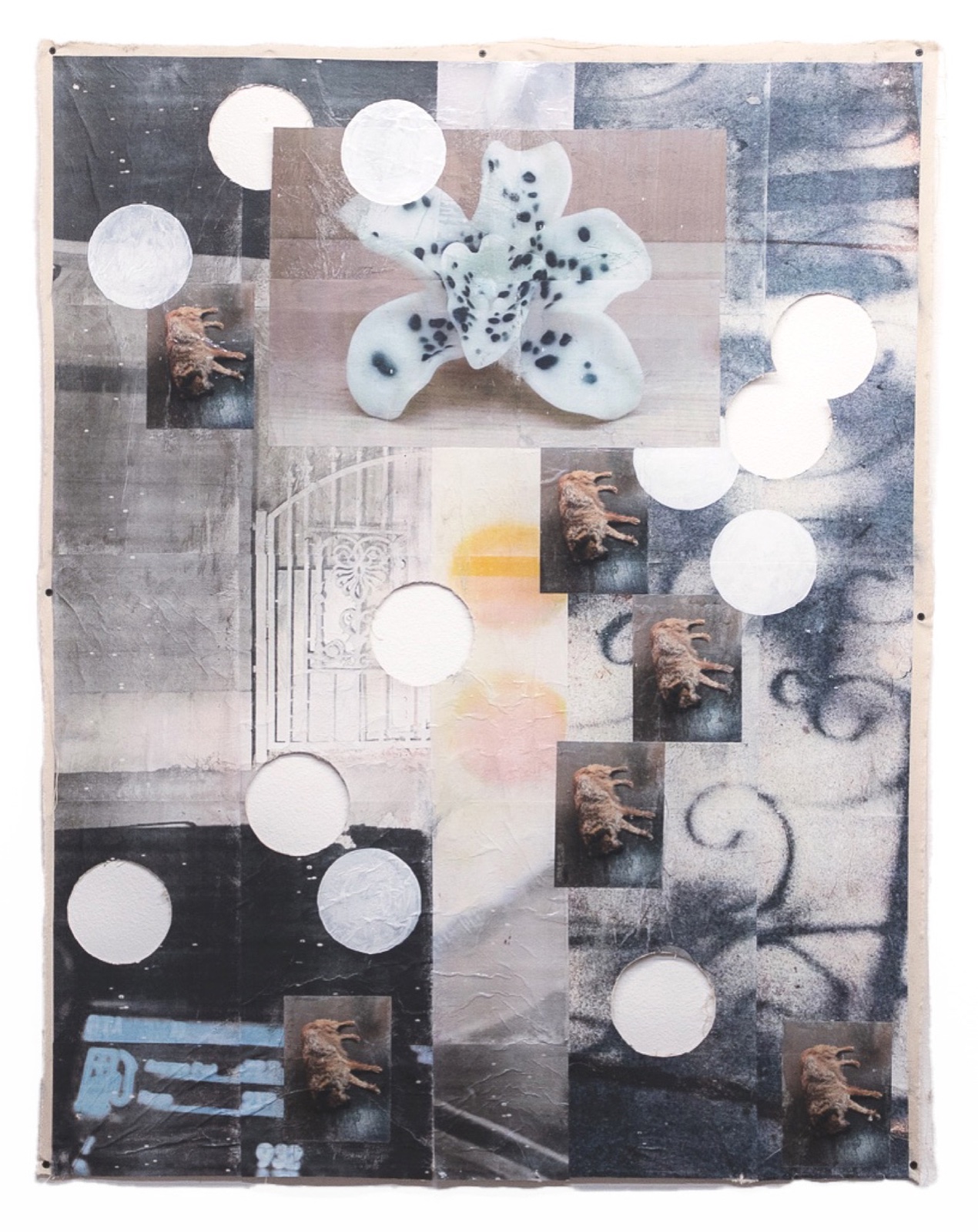 Zoe Alameda — Soil Falling Over My Head